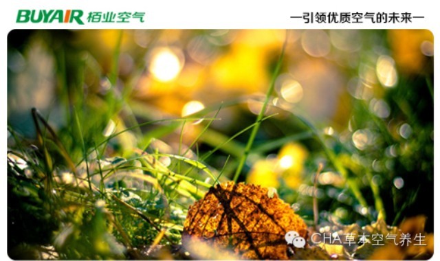 步入秋天,空氣凈化器不可或缺